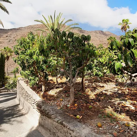 Paraiso Del Molinero Bajo Apartamento Mogán